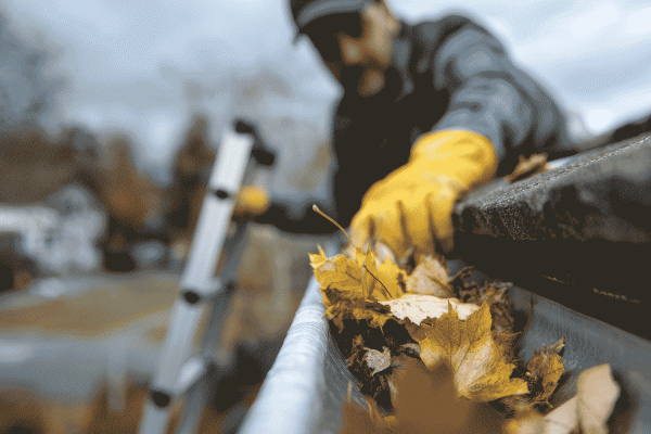 Property Management and Property Care Georgian Bay and Muskoka