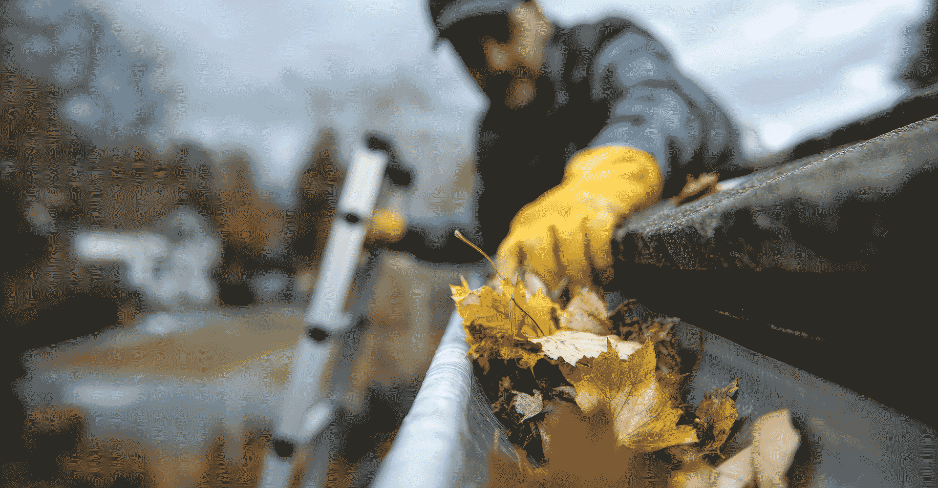 Property Management and Property Care Georgian Bay and Muskoka